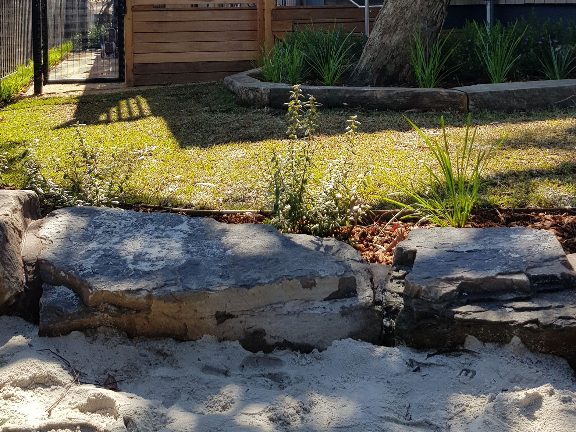 Sandpit and planting Botanical Traditions